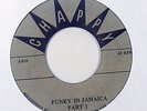 Reggae Funk 45   Bumps Jackson   Funky In Jamaica   Chappy   mp3 rare