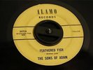 The SONS OF ADAM Feathered Fish VG+ 1966 ALAMO 5473 garage psych RARE 45