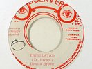 Reggae 45   Dennis Brown   Tribulation   Observer   mp3 VG+