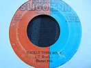 Shatter Nile Hackle Them Body Killer  Digi 7
