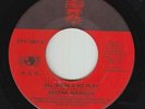 70s Soul 45 - Serena Johnson - All Work And No Play - Big 2 - mp3