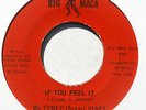 Rare Funk Soul 45: Ms TYREE (Sugar) JONES If You Feel It on Big Mack (Hear)