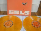 EELS WONDERFUL GLORIOUS GATEFOLD 2 x 10