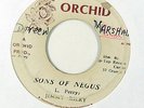 Reggae 45   Jimmy Riley   Sons Of Negus   Orchid   mp3 lee perry rare