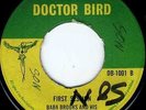 doctor bird 7