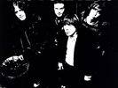 THE REAL KIDS: Self Titled album LP 1999, Norton Records ED-222 (Vinyl)