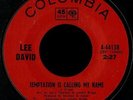 Lee David 