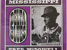 Mississippi Fred McDowell Delta Blues Arhoolie 1021 MINT SEALED