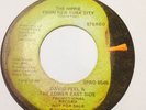 David Peel - The Hippie From New York City / Ballad of NYC - Apple 45 Promo DJ