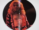 Led Zeppelin Live @Central Park '69 Pic LP Picture Disc Vinyl Record V. Rare OOP