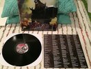 THE MISFITS THE DEVILS RAIN VINYL LP LENTICULAR COVER BLACK FRIDAY RSD 2011 NM