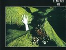 FLAX - One - LP 1976 Pan Records