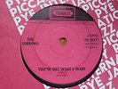 The Sorrows - You've Got What I Want 1965 UK 45 PICCADILLY