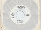 CALAMITY JANE/NOW SHE'S GONE - THE RAVEN