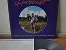 Richard Davis Harvest Japan LP 1983 King K18P-9183 Insert Muse