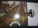 TORMENTOR ANNO DOMINI LP  SLAYER QUEENS OF THE STONEAGE NAPALM DEATH