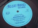 BOSSA LATIN BOOGIE FUNK MANFREDO FEST 12