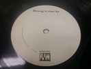 RARE Paul Mccartney Brung To Ewe By RAM 15 Promotional Radio Spots LP.