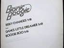 BIONIC BOOGIE Risky Changes *PROMO* 1977 Massive Jim Burgess Disco Classic HEAR