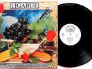 LUCIANO LUGABUE LAMBRUSCO COLTELLI ROSE & POP CORN LP 1991 CONTIENE L'INSERTI