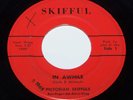 1965 PICTORIAN SKIFFULS  In Awhile  PRIVATE OHIO GARAGE 45 ON SKIFFUL *HEAR*  