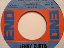 rare soul 45 LENNY CURTIS Nothing Can Help You Now/Who You Gonna Run To on END