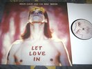 Nick Cave And The Bad Seeds ?– Let Love In REISSUE LP