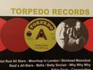 TORPEDO RECORDS THE SKINHEAD REGGAE SINGLES LP - HOT ROD ALL STARS MOONHOP ETC
