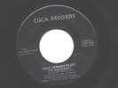 FENDERMEN - MULE SKINNER BLUES - '60 CUCA /WISC LABEL 45