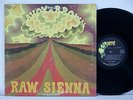 SAVOY BROWN Raw Sienna ORIG 1970 NEAR MINT LP PARROT PAS71036 BLUES ROCK 1AL/1AL