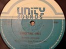 Anthony Johnson Dance Hall Vibes Killer Digi 12