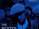 Roots 