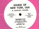 Spoonie Gee 
