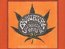Brant Bjork & The Low Desert Punk Band - Black Power Flower Vinyl EU LP
