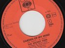 The MICKEY FINN * 1968 FREAKBEAT MOD PSYCH 45 * Garden of my mind * Listen