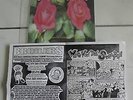 Broilers - Schenk  mir eine Blume 7
