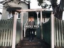 Knuckle Puck- While I Stay Secluded (Aside/Bside /250)