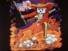 TOXIC REASONS - Independence (reissue) - LP