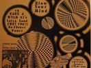 Psychedelic Disaster Whirl  (low # orig.) = Rare 16 Rare Garage Punk (Frantic)