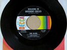 Elves - Walking In Different Circles - Decca 1969 - VG Ronnie James Dio