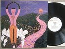 STRANGE AFFAIR LP AL ET AL EX+/VG+ PRIVATE PRESS