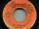 THE WEBB rare g+ TRY LOVING ME  Northern Soul DETROIT 45 on DYNAMIC Doo Wop  mp3
