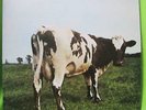 1970 PINK FLOYD ATOM HEART MOTHER Israeli pressing CBS SHVL 781 1st EDITION ROCK
