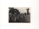 MC5 - Part Of The Problem Or Part Of The Solution Vinyl US LP
