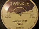 Aisha Raise Your Voice / Don't Tell Me No More Lies Killer Shaka 12