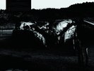AMENRA-MASS V (2LP/180G/GATEFOLD/LTD.DELUXE)-VINYL LP (2) CHURCH OF RA NEW