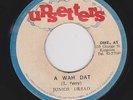 JUNIOR DREAD - A WAH DAT 
