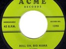 PRIMITIVE ROCKABILLY BOP - G. SELF - ROLL ON BIG MAMA - VERY RARE REPRO 45'