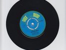 HOT ROD/BEAUTIFUL WORLD   -  HOT ROD ALL STARS (CIMARONS)(70 SKINHEAD INSTR. 7