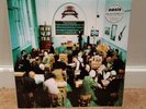 Oasis The Masterplan -good condition Britpop inc.  The Beatles I am the Walrus